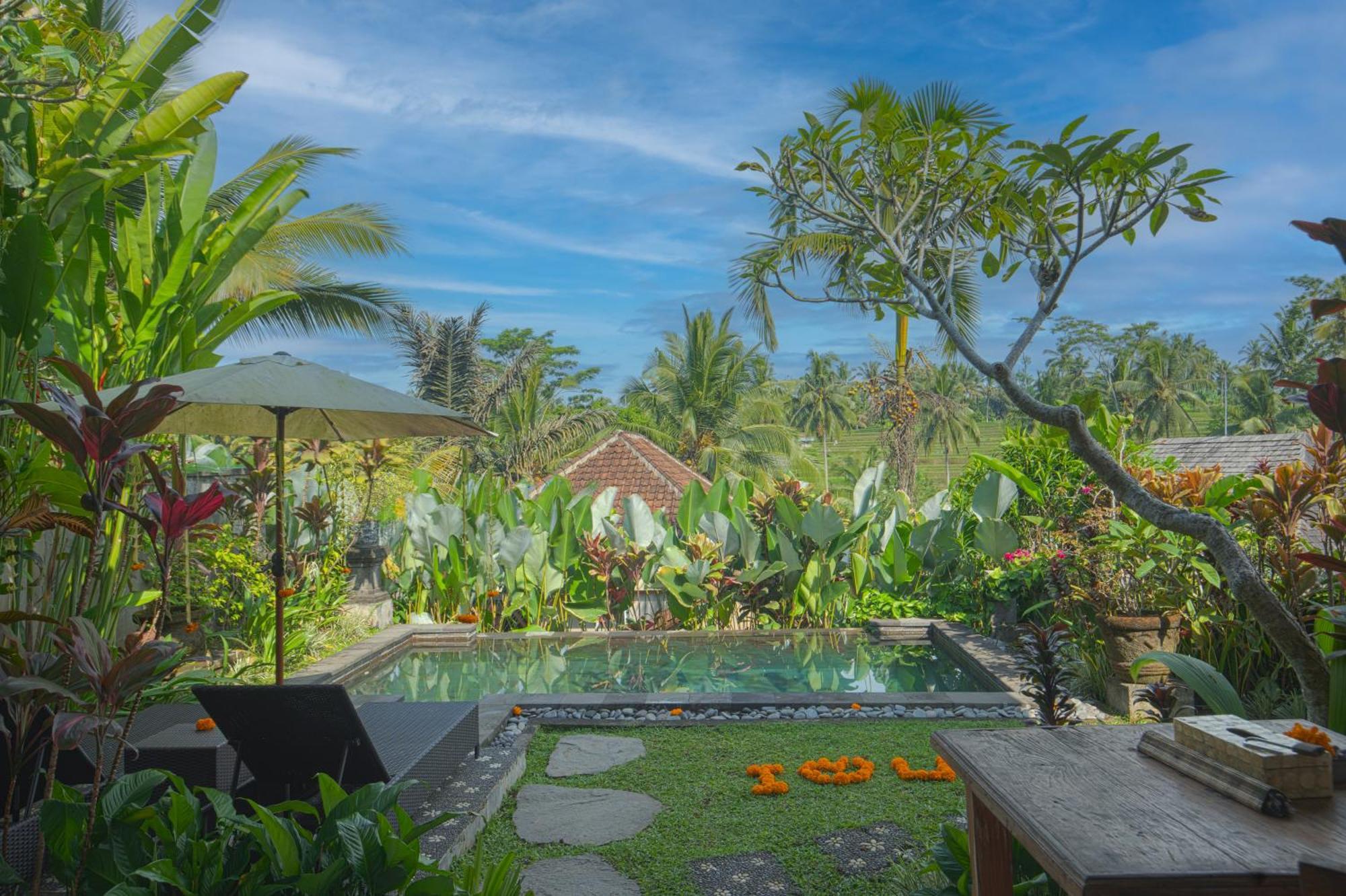 Taluh Bebek Ubud Private Villas エクステリア 写真