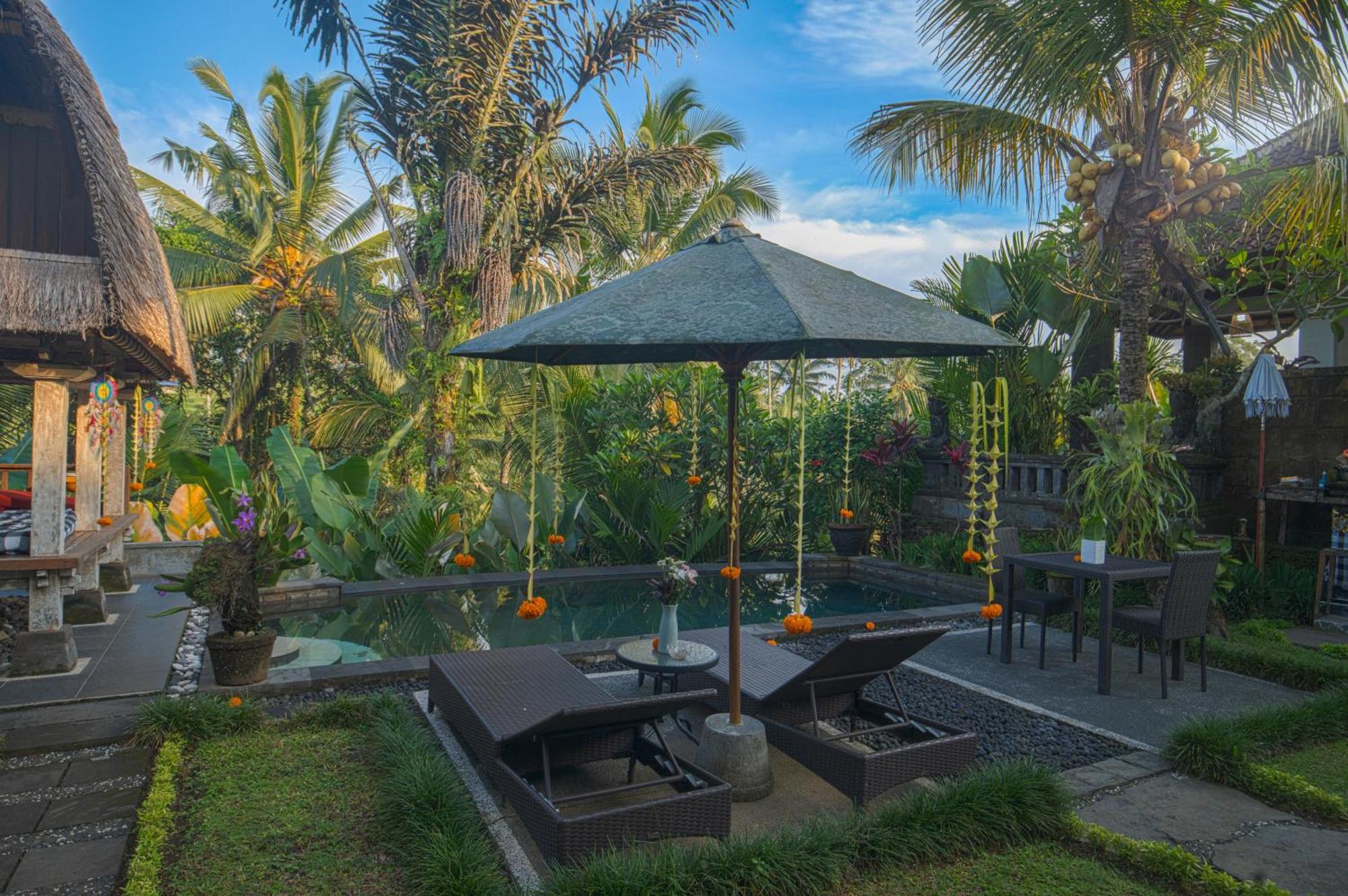 Taluh Bebek Ubud Private Villas エクステリア 写真