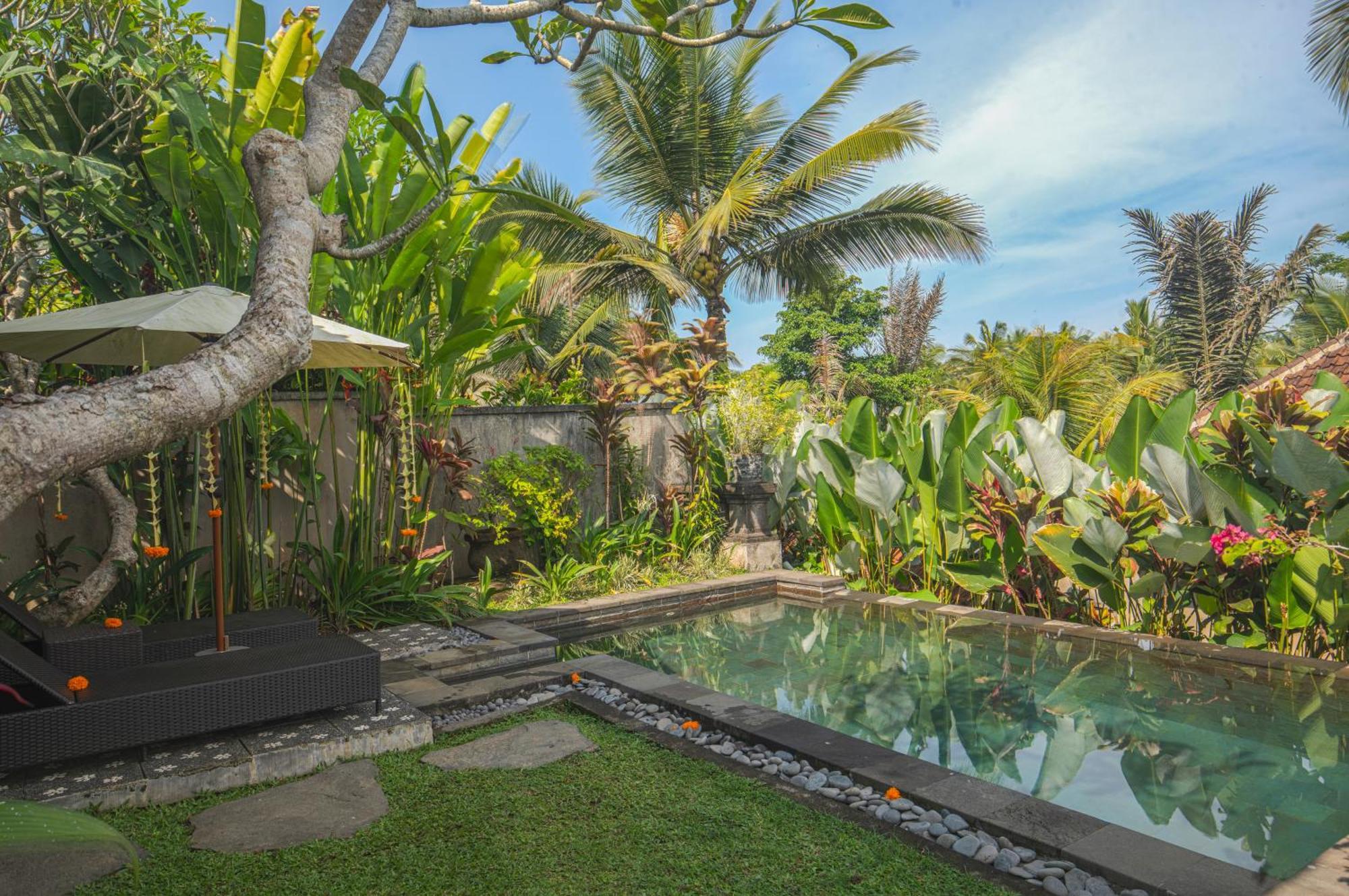 Taluh Bebek Ubud Private Villas エクステリア 写真